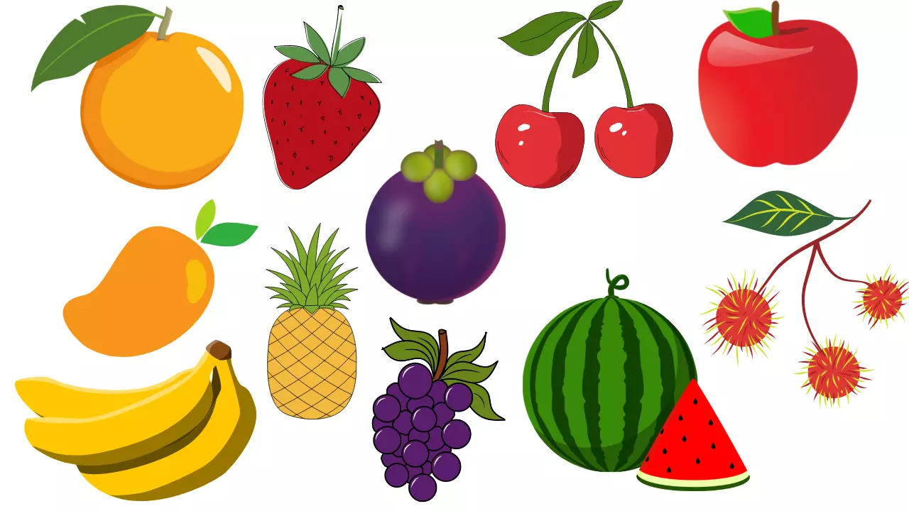 Gambar Buah Buahan Kartun Berwarna Ifoxsoft.com - SEON Digital Marketing