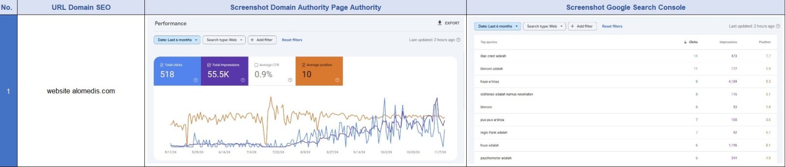 Screenshot Google Search Console 6 Website 1 - SEON Digital Marketing