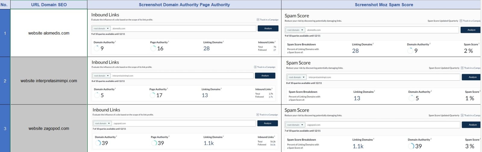 Screenshot Moz 6 Website 1 - SEON Digital Marketing